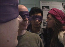 click for 1 mb animation